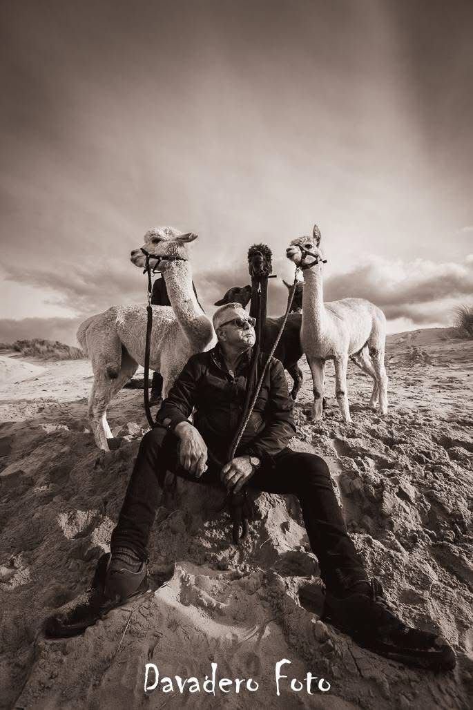 Sjaak en z'n Alpaca's